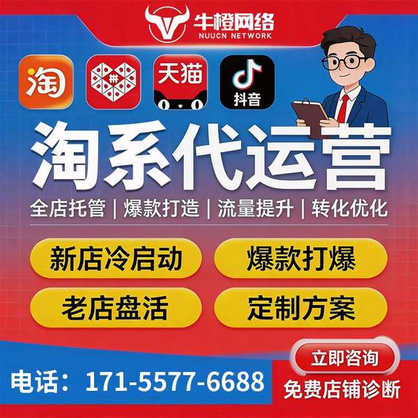 肇庆电商代运营