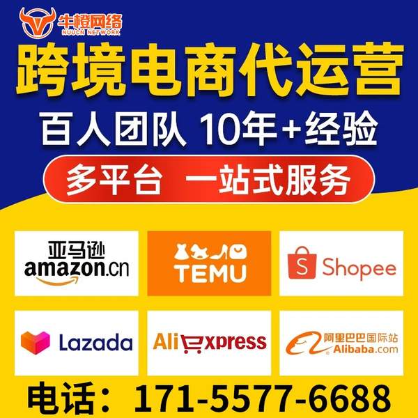 肇庆电商代运营