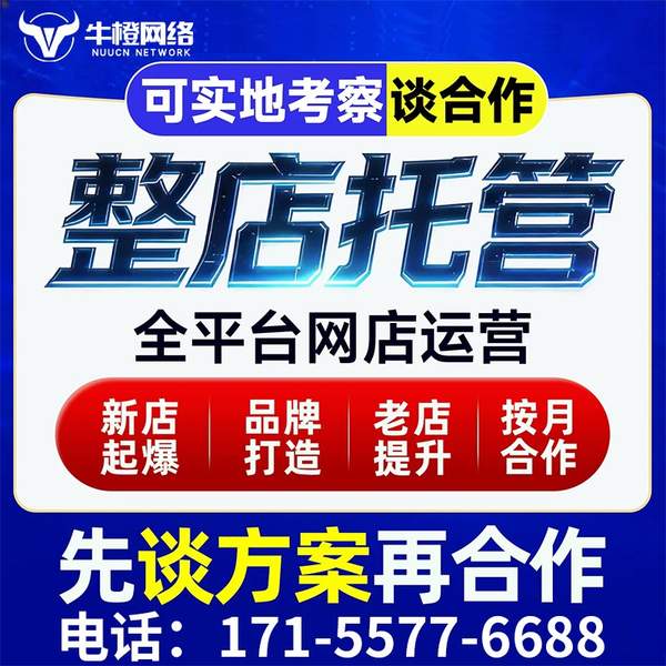 肇庆电商代运营