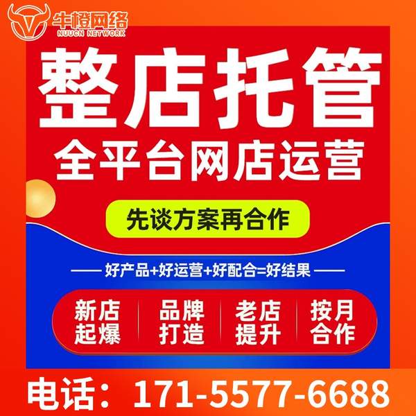 肇庆电商代运营