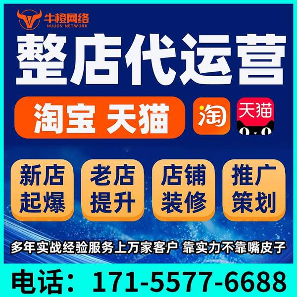 肇庆电商代运营