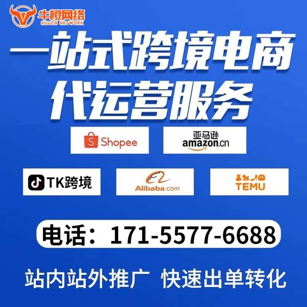 肇庆电商代运营