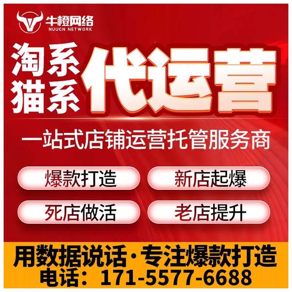 肇庆电商代运营